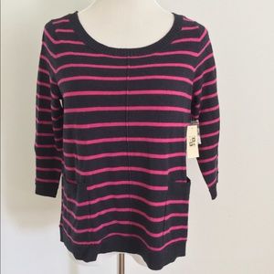 Max Studio Striped Sweater Navy Blue and Pink
